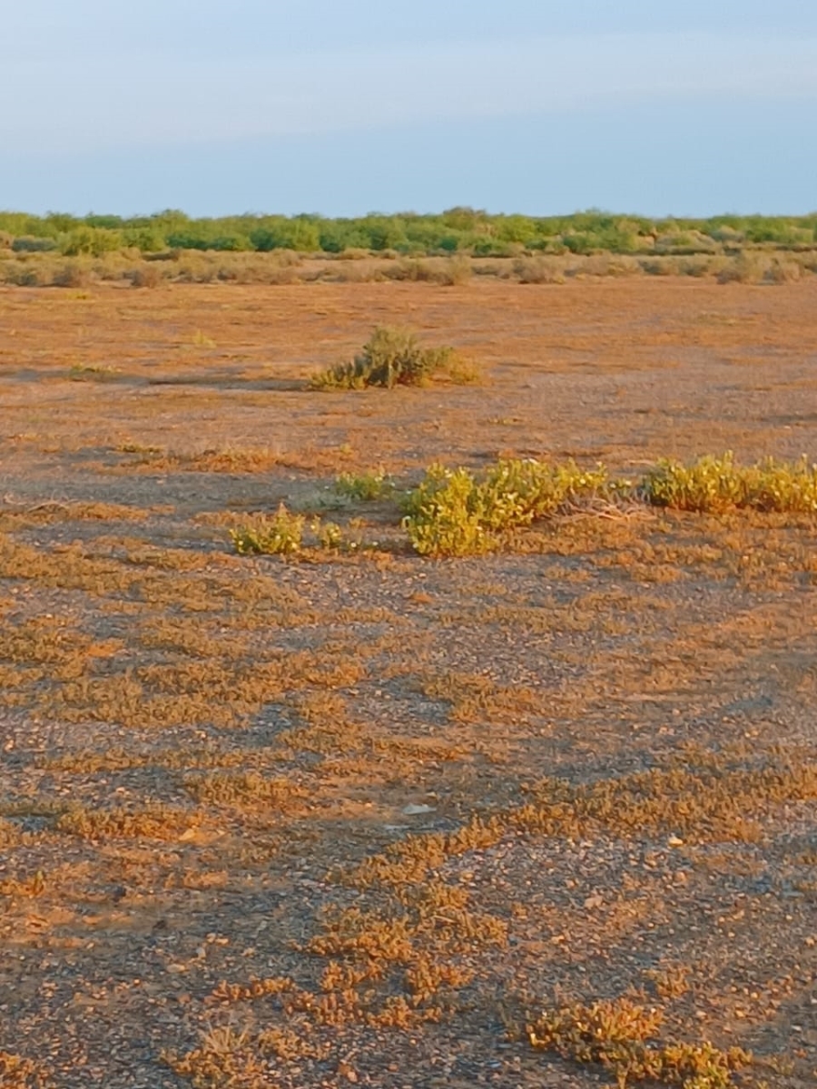 Commercial Property for Sale in Vanwyksvlei Northern Cape